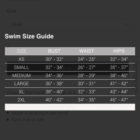 MATTE COLLECTION nico bikini 🚨CHEETAH PRINT🚨 - Picture 3 of 6